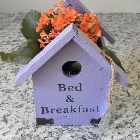 Sweet Apartment Hallerndorf