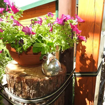 Sweet Apartman Hallerndorf